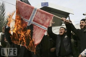 norway-flag-burned-by-muslims-in-norway-not-eu-flag-in-photo-450x299