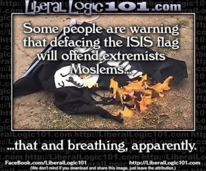 liberal-logic-101-2011-500x416