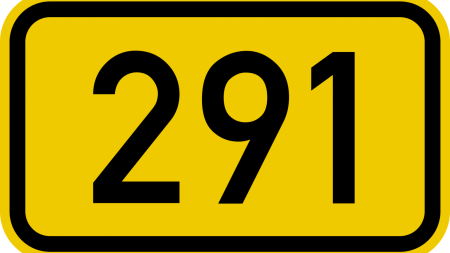 code 291