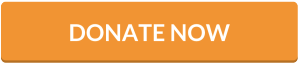 Donate Button v2