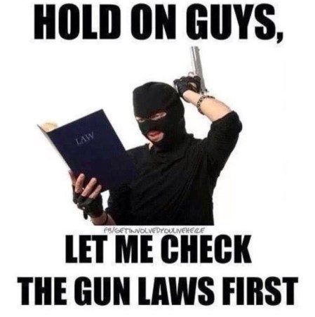 Gun-Laws-copy