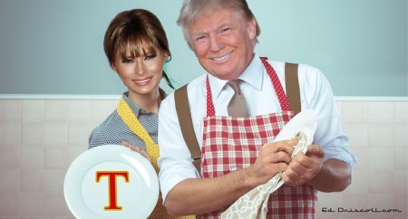 domestic donald