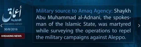 ISIS-adnani-dead