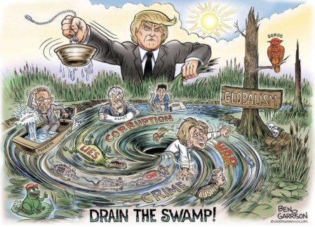 swamp