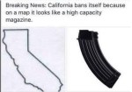 california-bans-itself