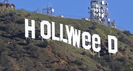 hollyweed