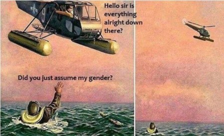 assume-gender