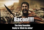 bacon-response