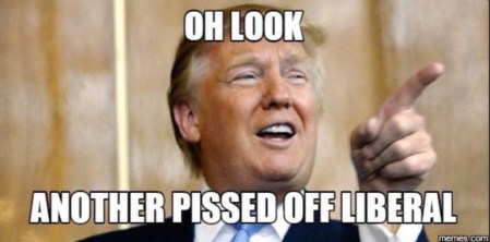 pissed-off-liberal
