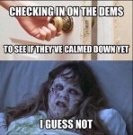 possessed-dems