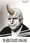 McCain-RINO