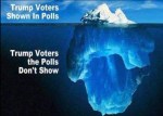 TRrump-Voters