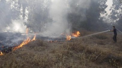 Fires caused by Gazans (Photo: AFP)