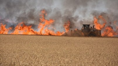 Hamas committed to stop the arson terrorism (Photo: Zohar Shafek)