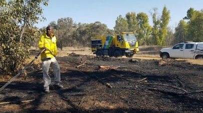 (Photo: Benny Rubinov, KKL-JNF forester) (Photo: Benny Rubinov, KKL-JNF forester)